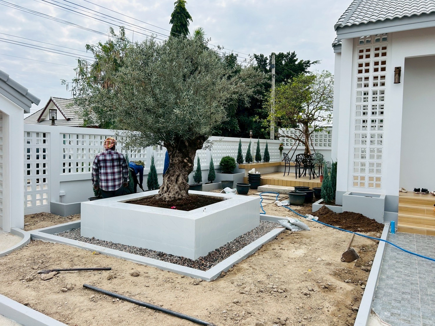 LINE ALBUM OZ Gardening 250725 44