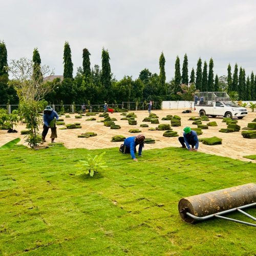 LINE ALBUM OZ Gardening 250725 41