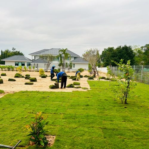 LINE ALBUM OZ Gardening 250725 42