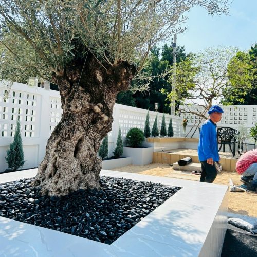 LINE ALBUM OZ Gardening 250725 43