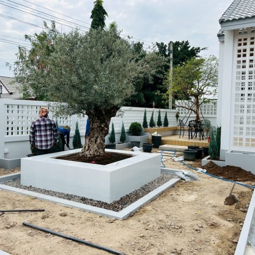 LINE ALBUM OZ Gardening 250725 44